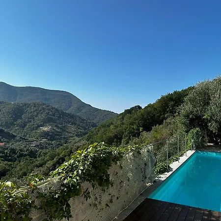 House In Paradise *
